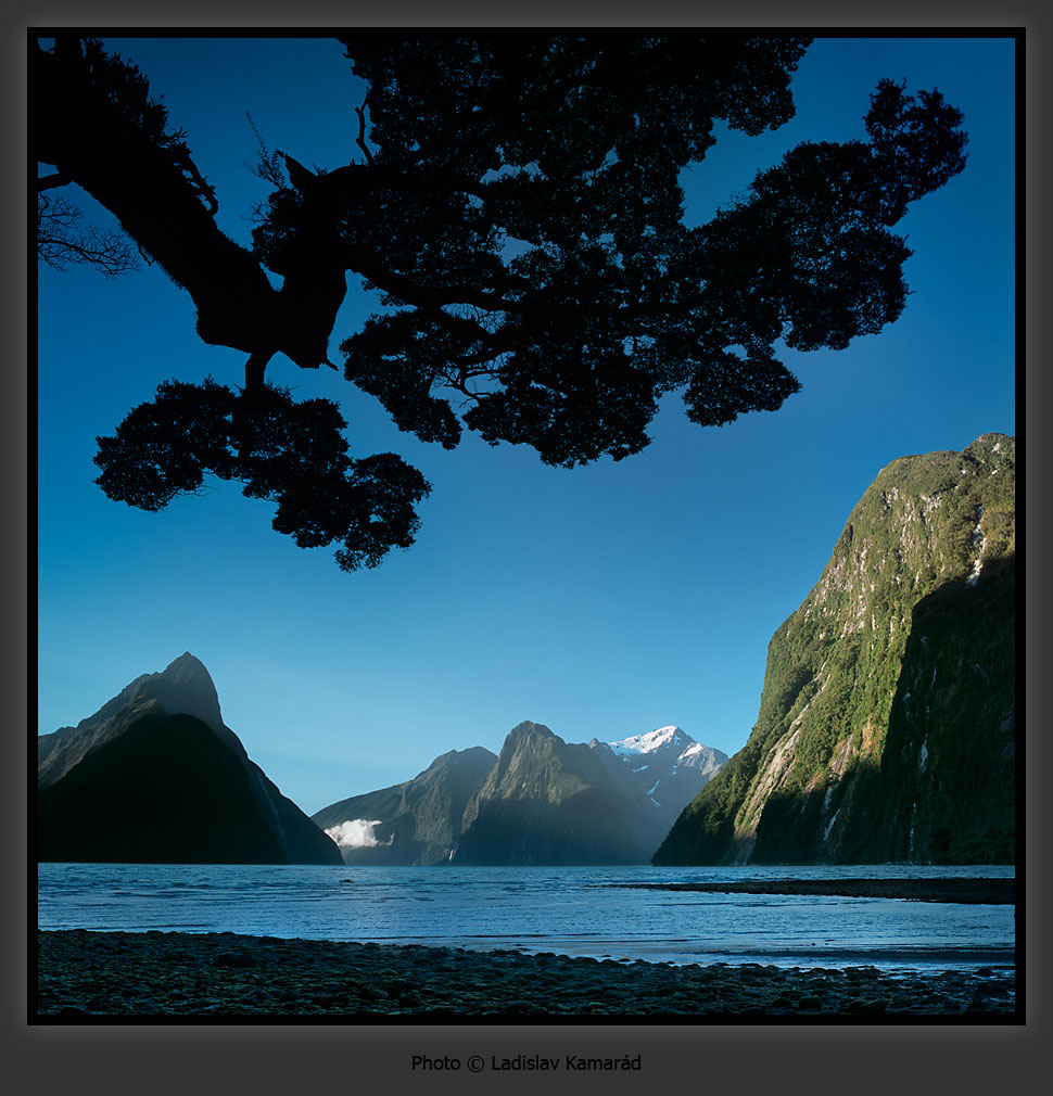 Brilliantovui doc 1160680349 i 2864 full